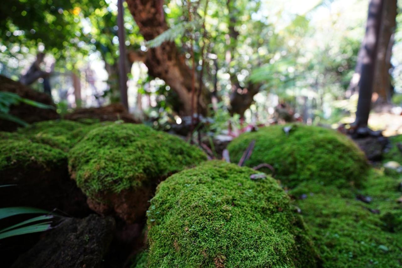 Treescape Resort Chiangmai Τσιάνγκ Μάι Εξωτερικό φωτογραφία