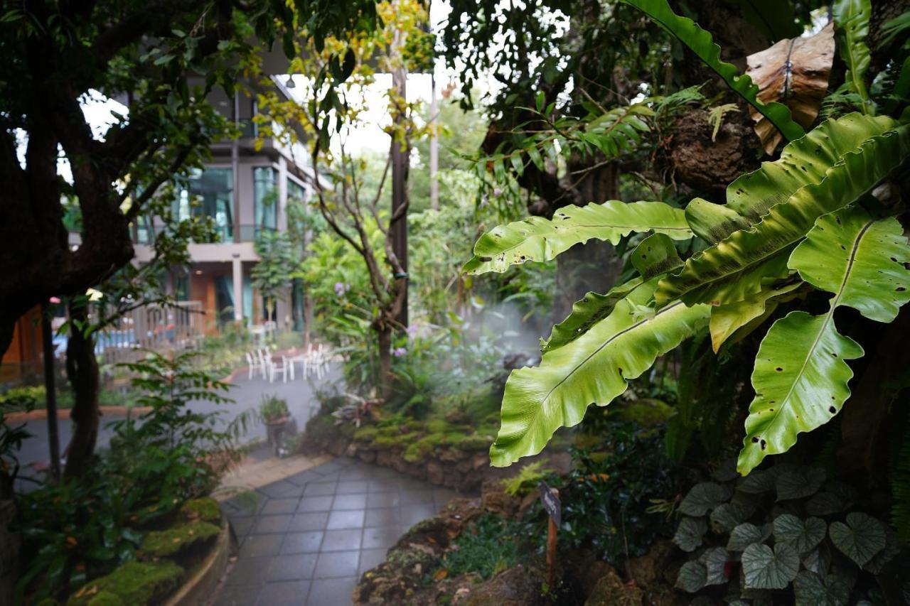 Treescape Resort Chiangmai Τσιάνγκ Μάι Εξωτερικό φωτογραφία