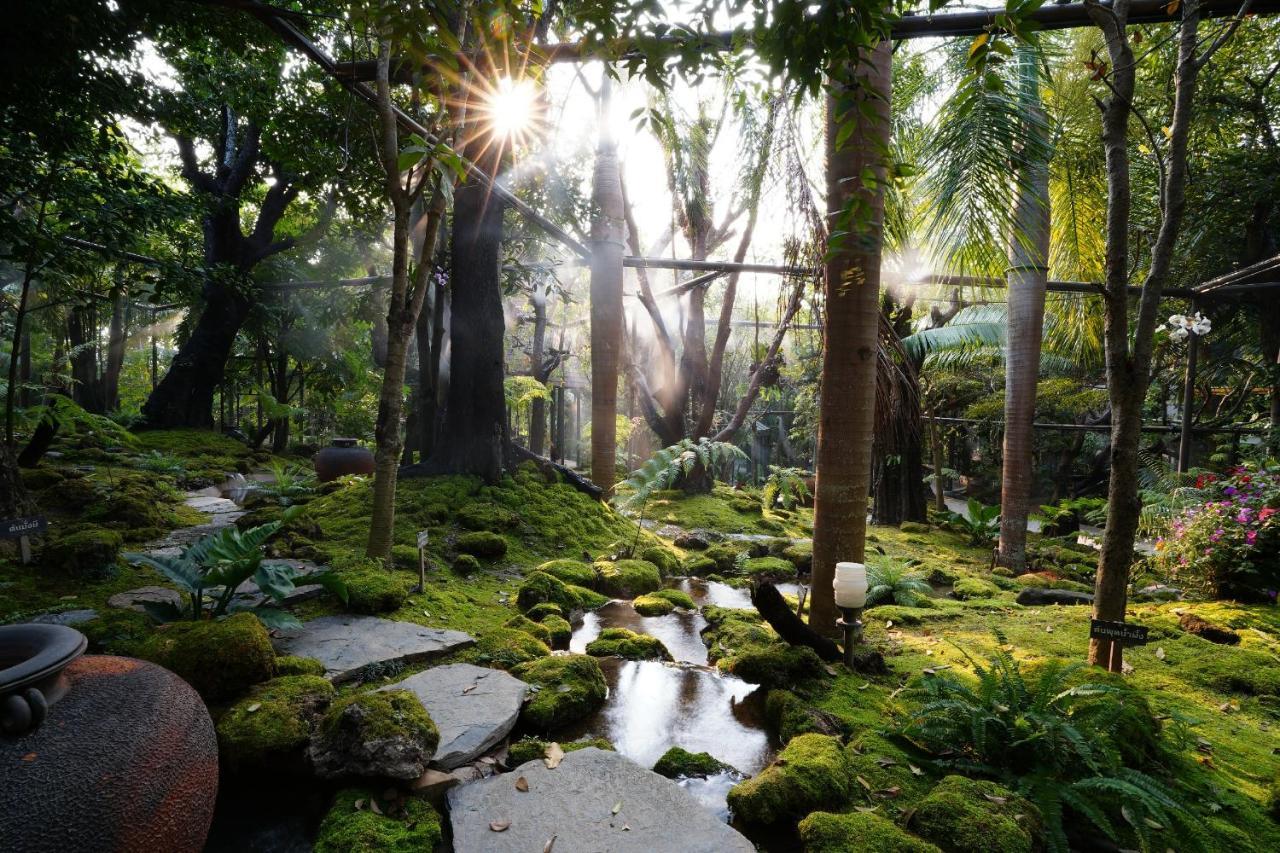Treescape Resort Chiangmai Τσιάνγκ Μάι Εξωτερικό φωτογραφία