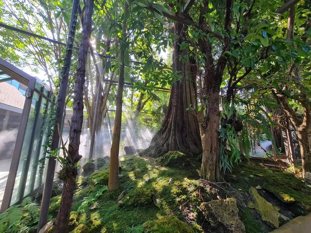 Treescape Resort Chiangmai Τσιάνγκ Μάι Εξωτερικό φωτογραφία