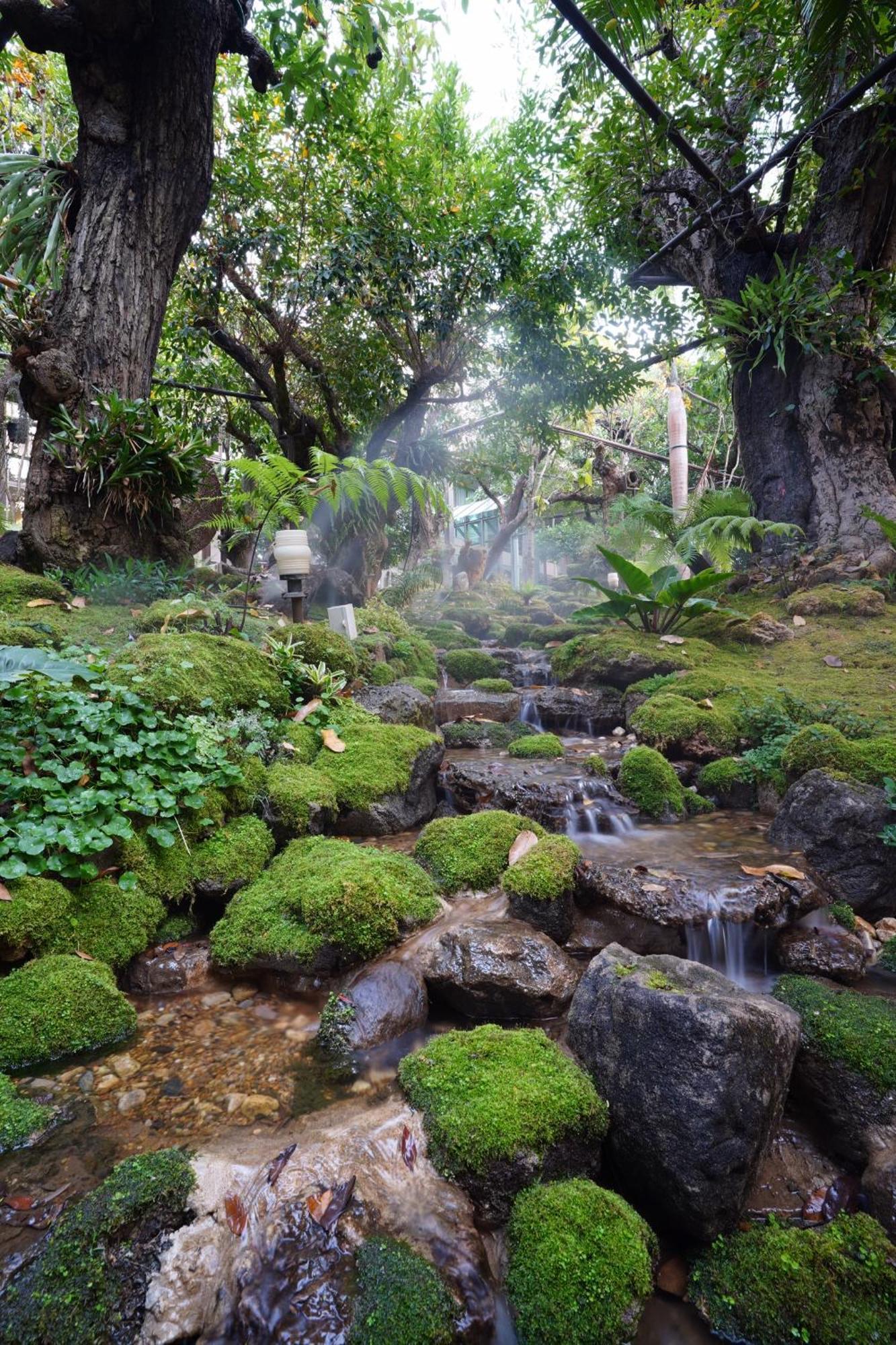 Treescape Resort Chiangmai Τσιάνγκ Μάι Εξωτερικό φωτογραφία